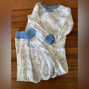 Tbbc whale night nights